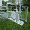 Side view of beef crush with side gates open