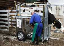 Wopa Hydraulic Hoofcare Crush